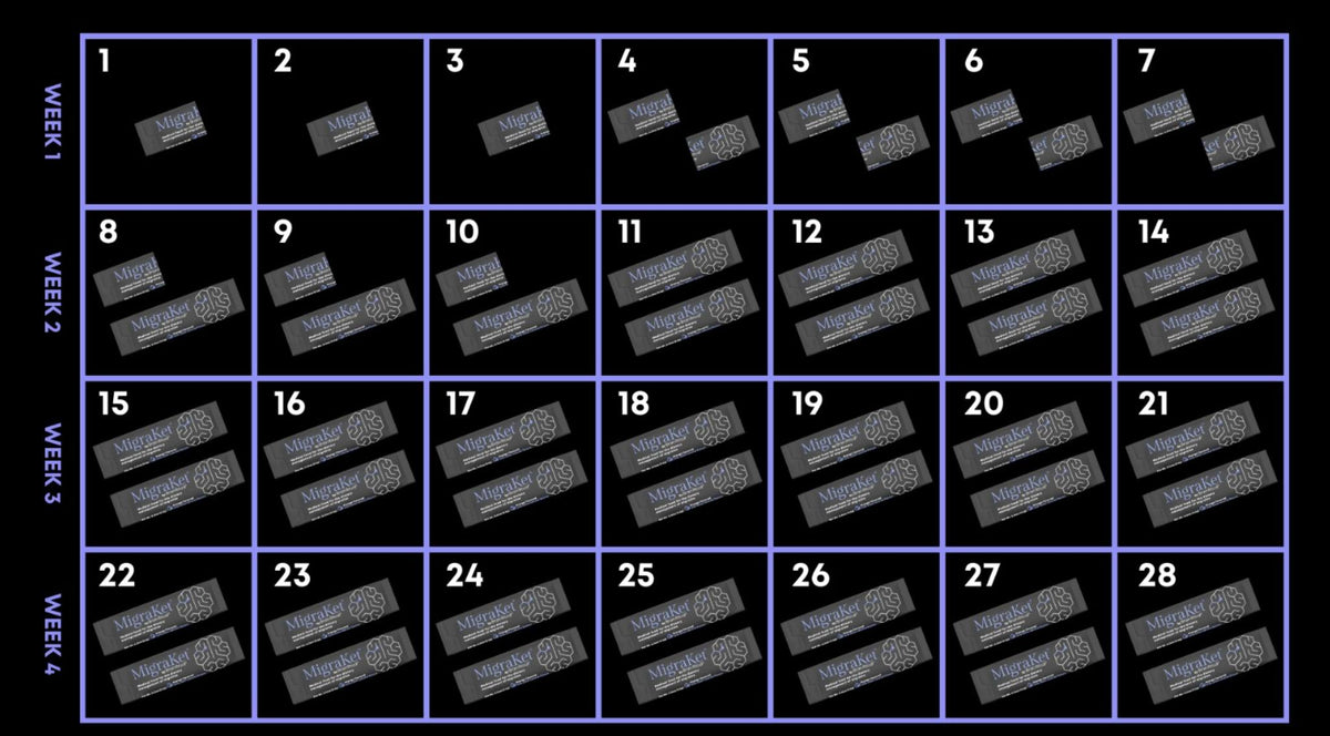 MigraKet Usage - Ramp Up Guidelines